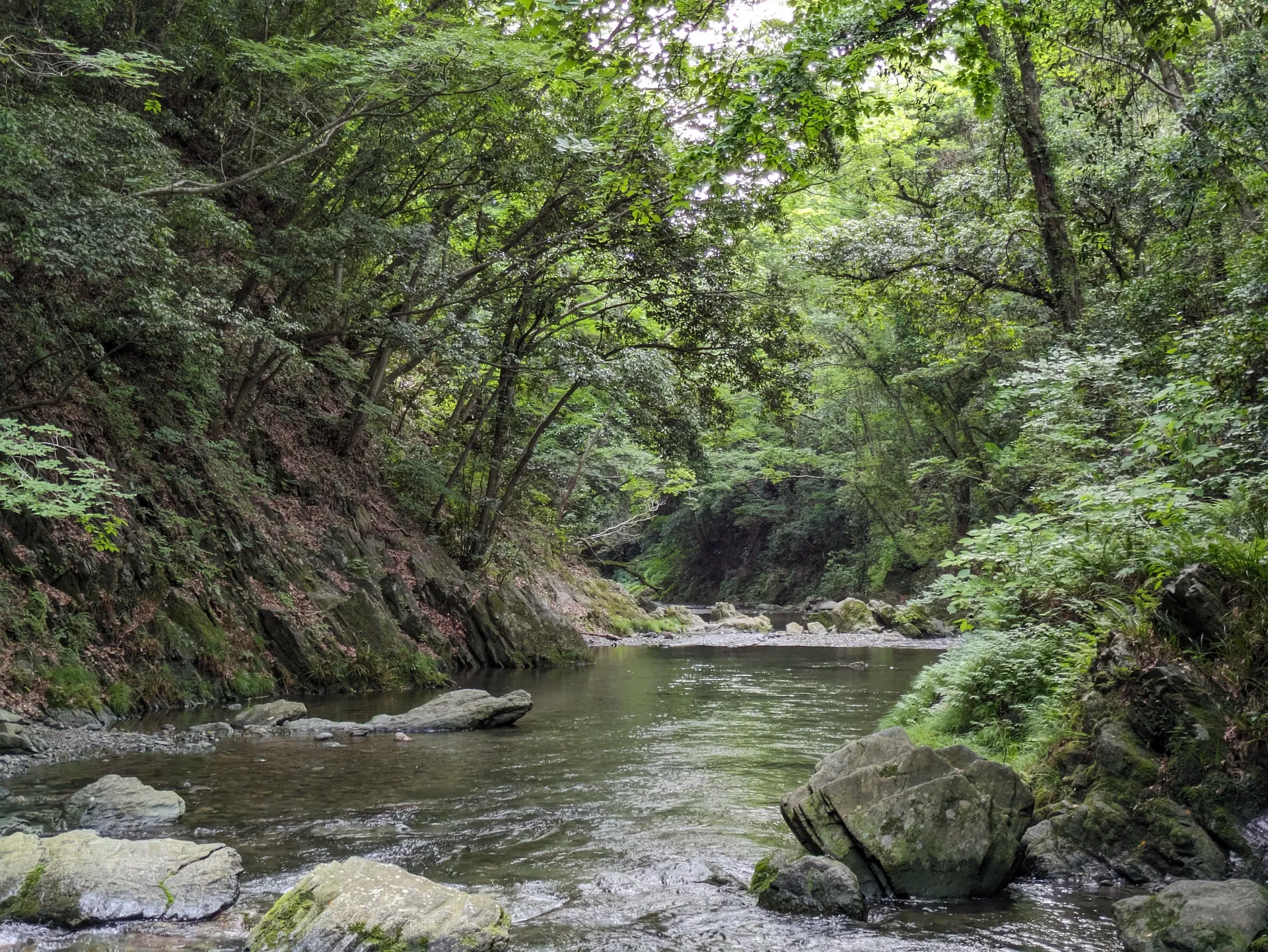 三波渓谷の清流
