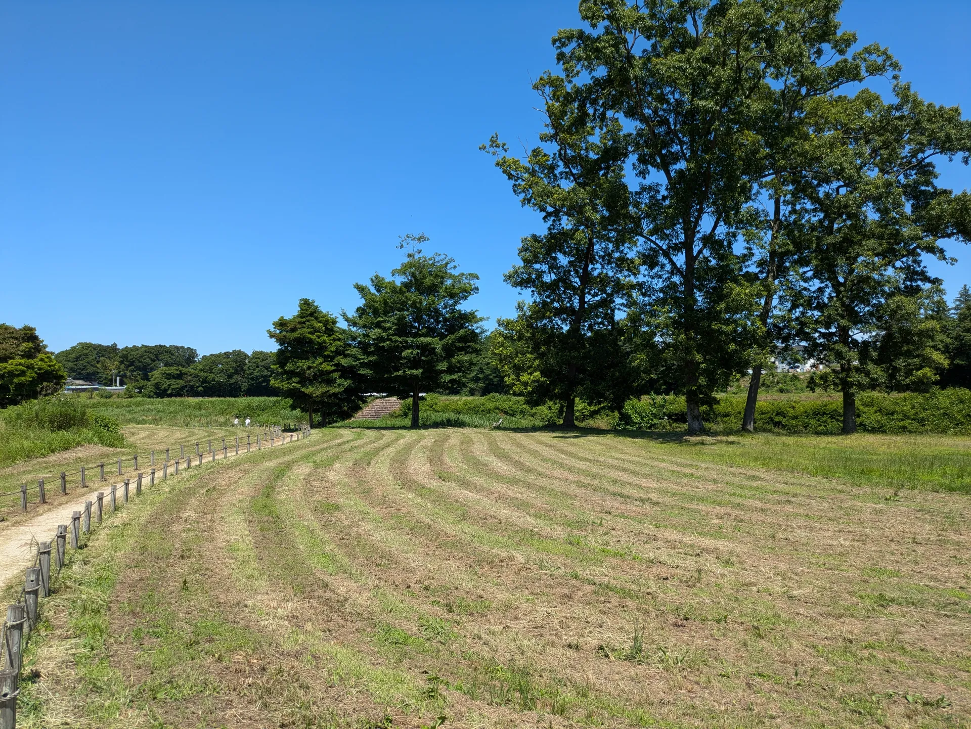 穴場の景色
