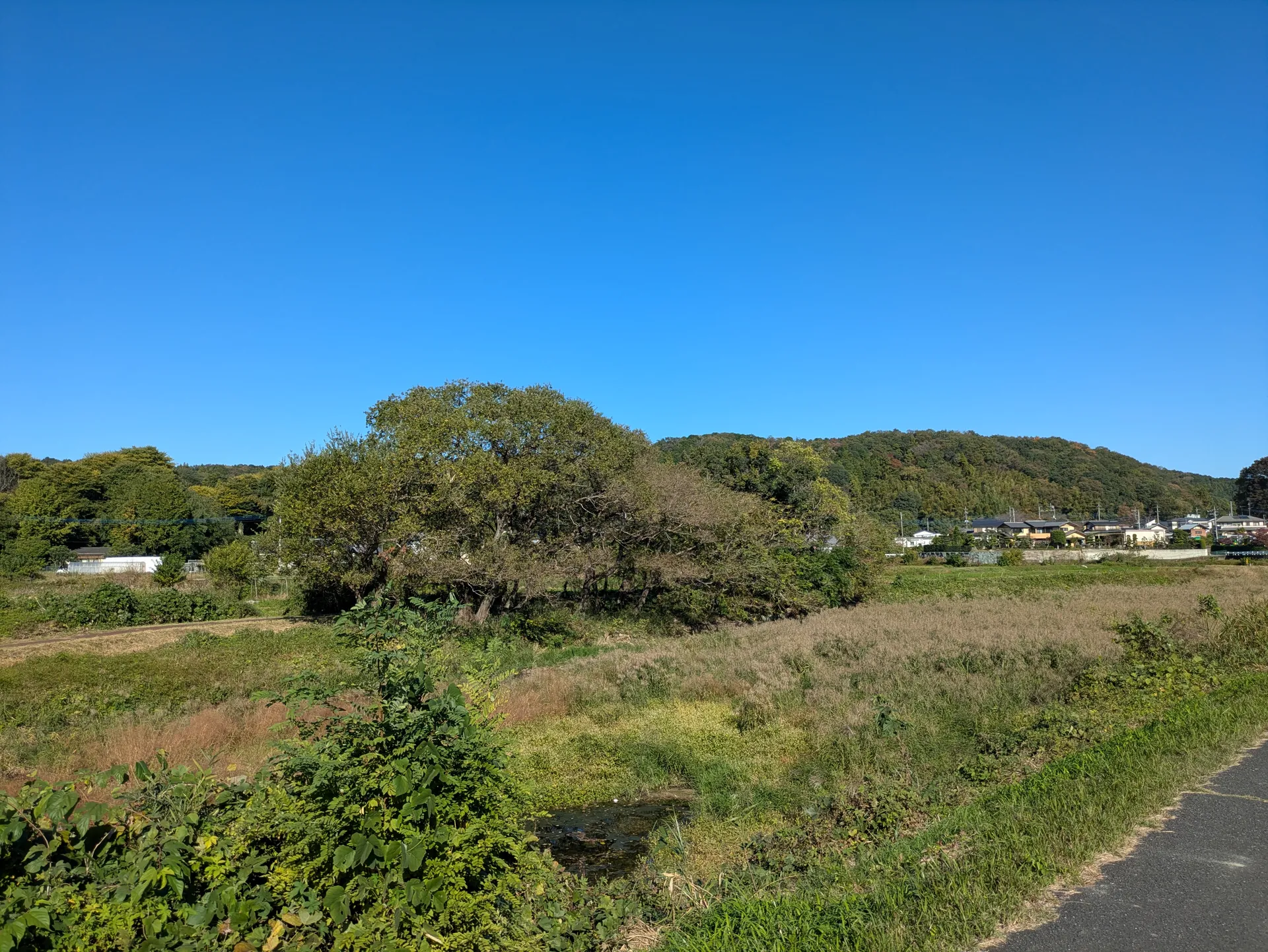 川沿いの景色