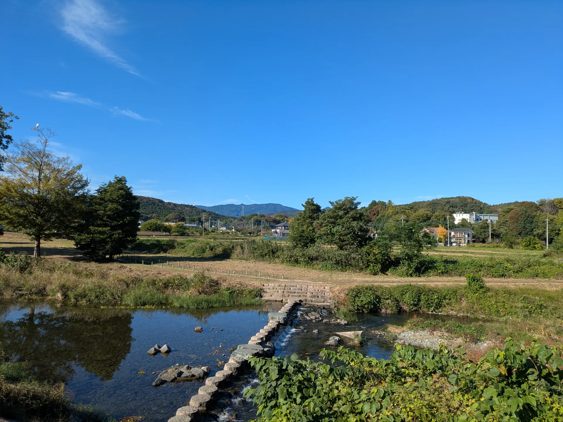 お店周辺の田んぼと川沿いの道