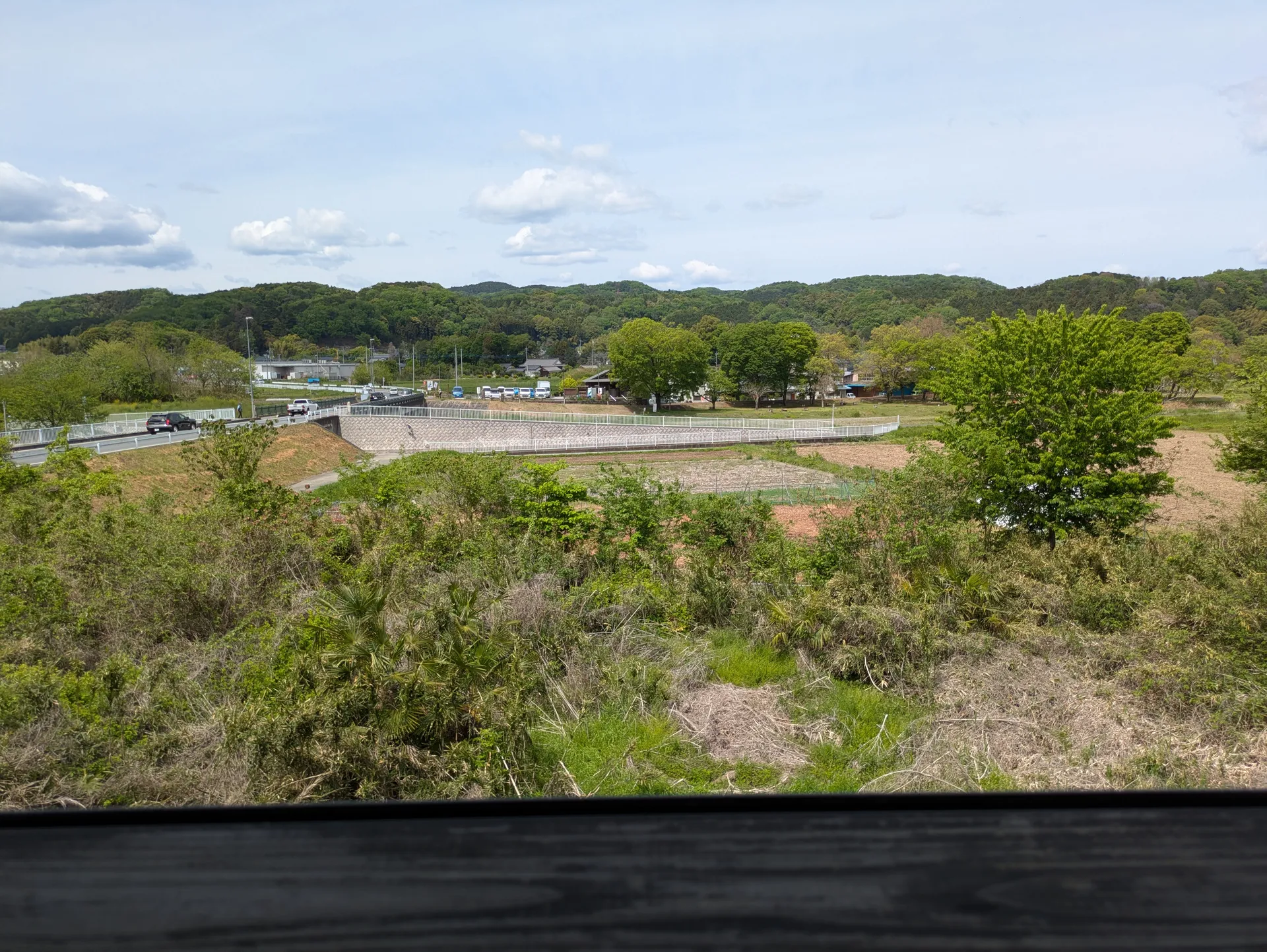 高柳屋のテラス席からの眺め